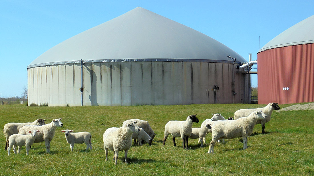„Hjælp til din klimabeskyttelse“